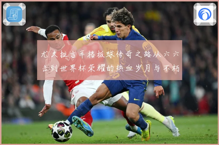 尤夫拉吉辛格板球传奇之路从六六击到世界杯荣耀的热血岁月与不朽篇章