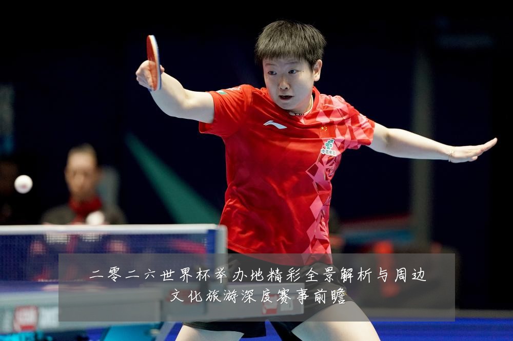 二零二六世界杯举办地精彩全景解析与周边文化旅游深度赛事前瞻